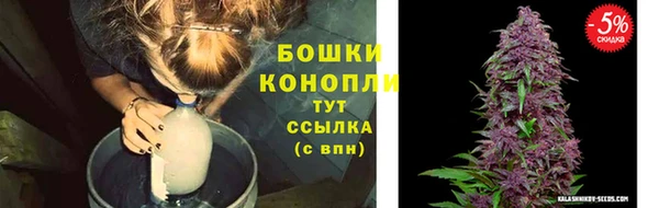 трава Елизово