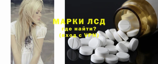 спайс Ельня