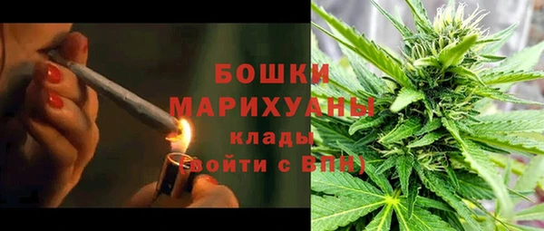трава Елизово