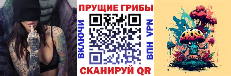 Галлюциногенные грибы Magic Shrooms купить сайты маркетплейс наркотические препараты Канск